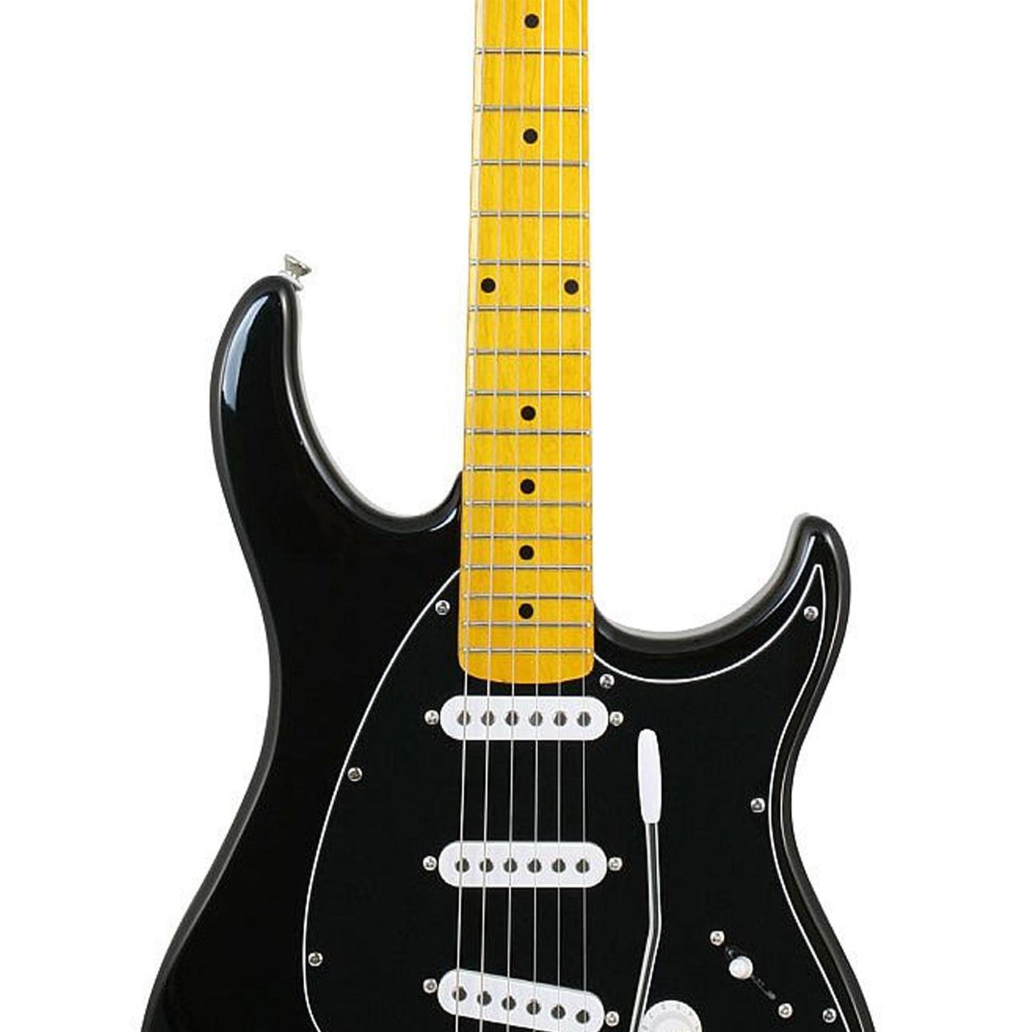 Guitarra Eléctrica Color Negro RAPTOR CUSTOM BLACK PEAVEY