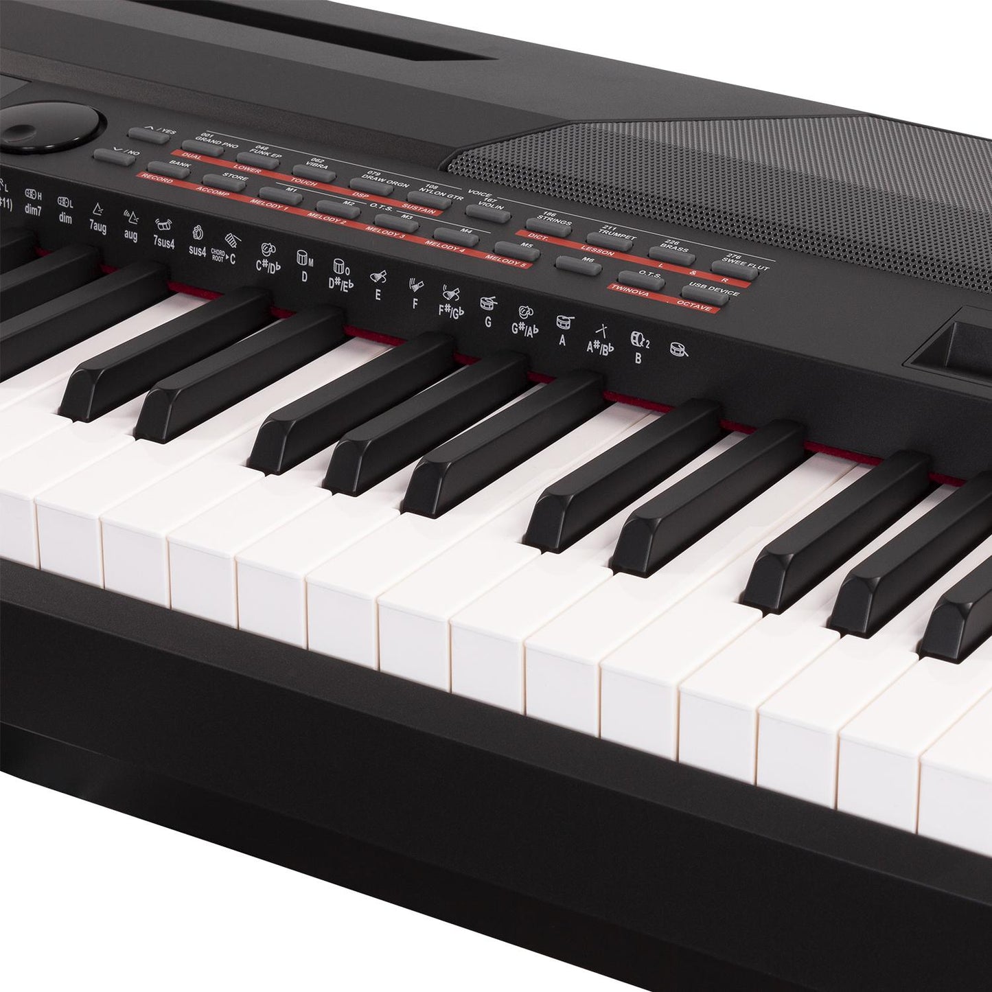 Piano Digital compacto con 88 Teclas Pesadas 2x20w ZEUS KBOARD