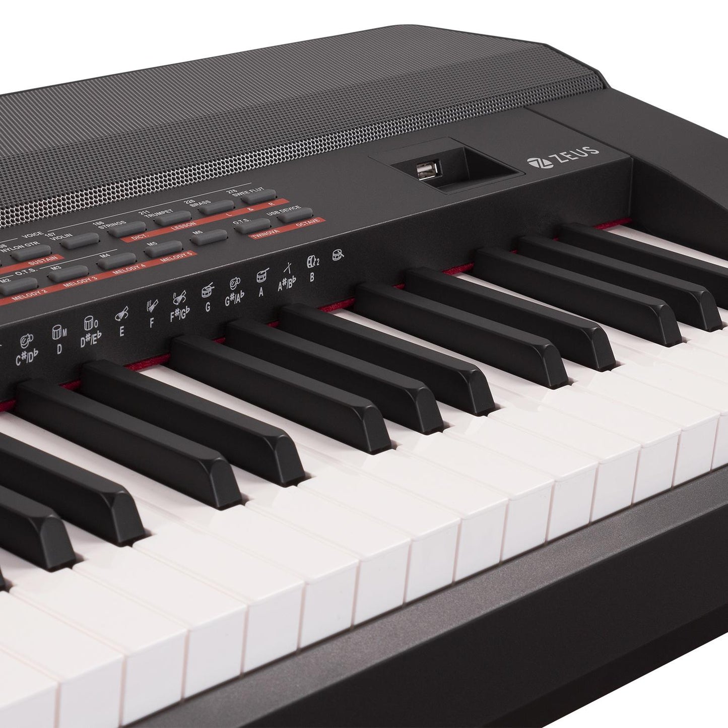 Piano Digital compacto con 88 Teclas Pesadas 2x20w ZEUS KBOARD